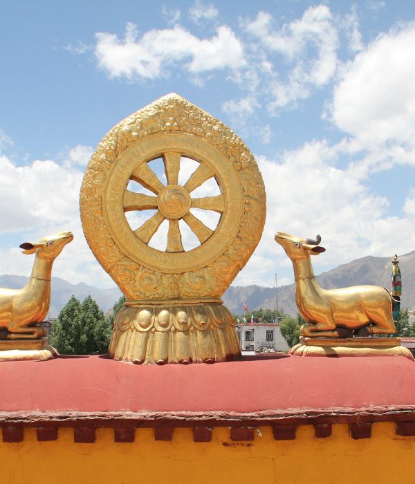 9-Day Tibet Discovery Tour