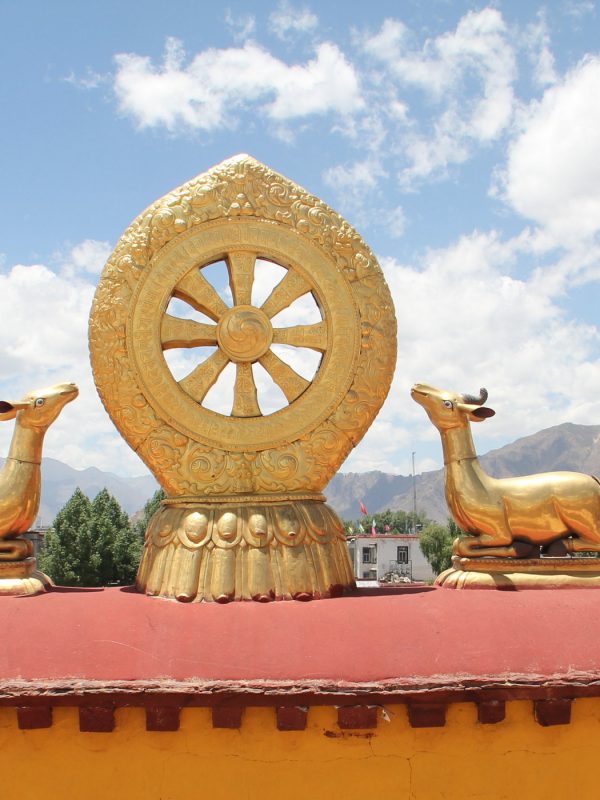 9-Day Tibet Discovery Tour