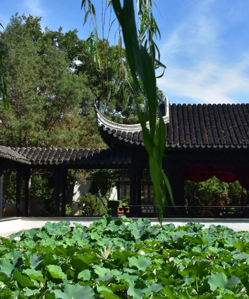 suzhou skyline