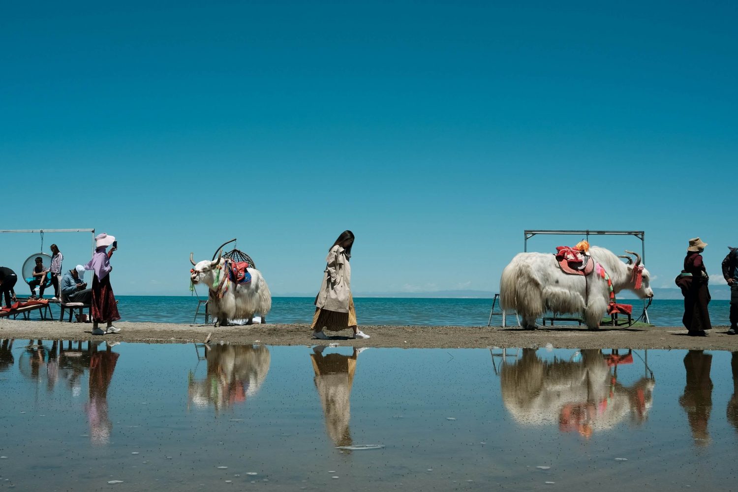 Qinghai Lake