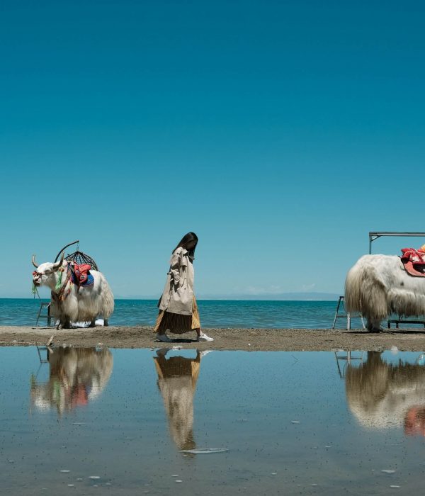 Qinghai Lake