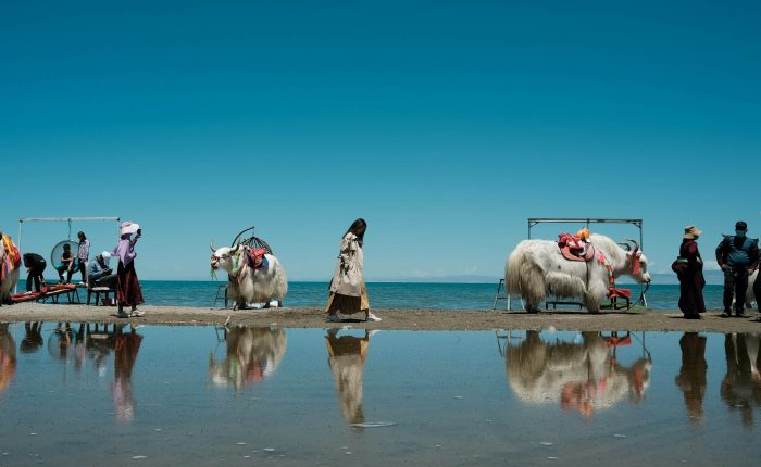 Qinghai Lake