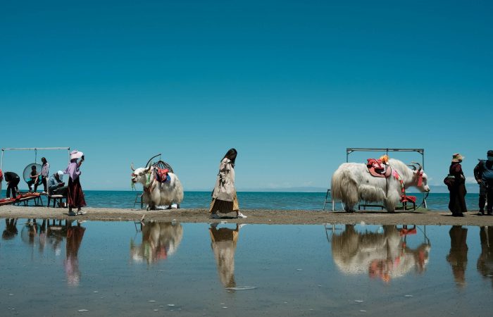 Qinghai Lake