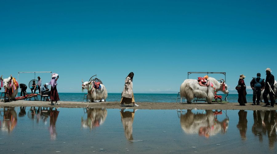 Qinghai Lake