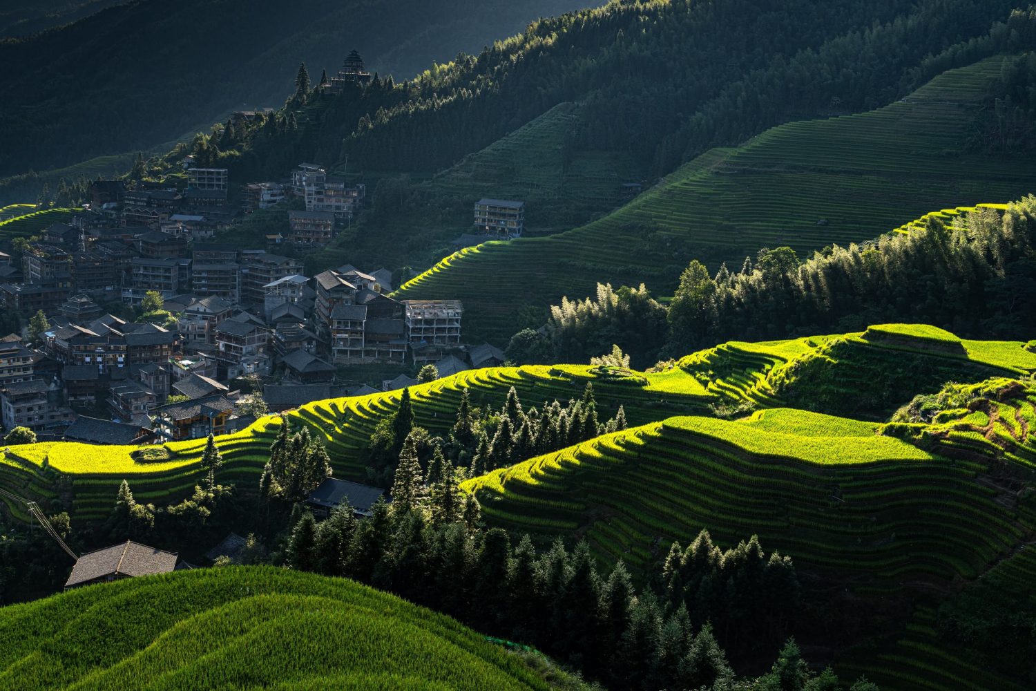 longji-rice-terraces