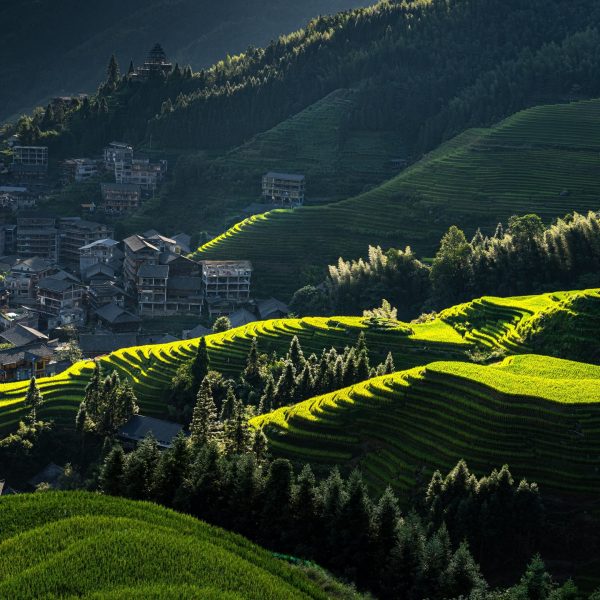 longji-rice-terraces