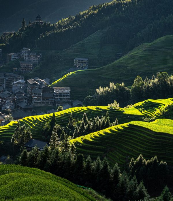 longji-rice-terraces