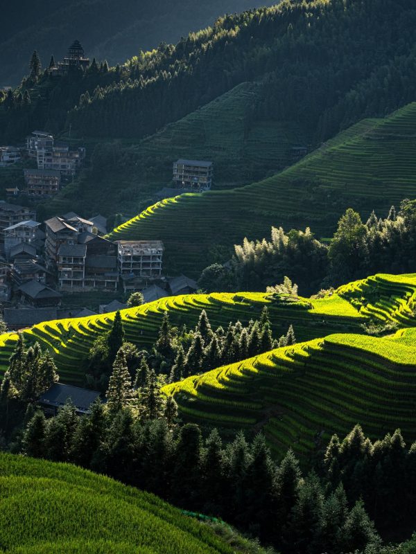 longji-rice-terraces