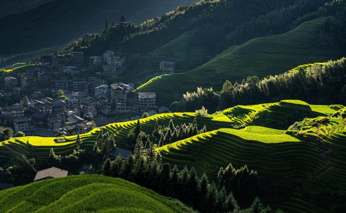 longji-rice-terraces