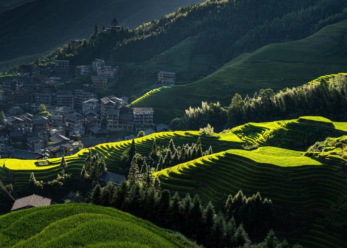 longji-rice-terraces