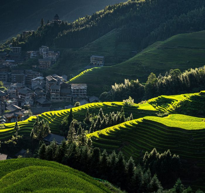 longji-rice-terraces