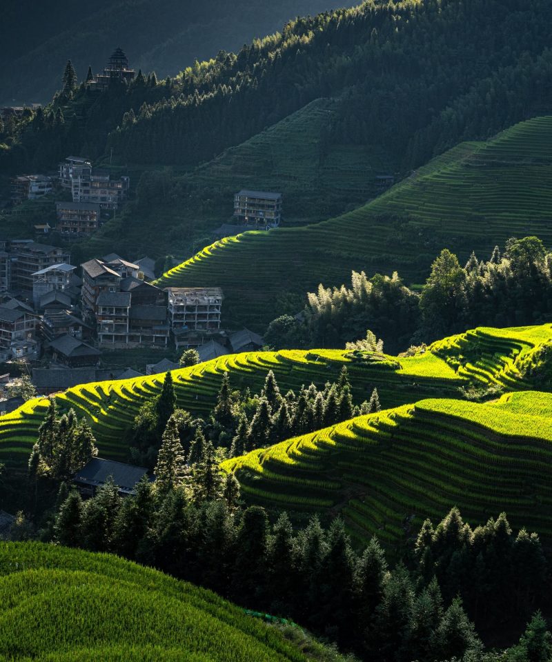 longji-rice-terraces