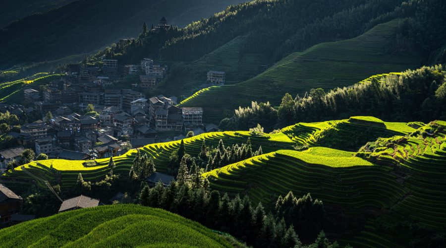 longji-rice-terraces